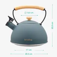 Tetera con Silbato, Hervidor de Agua 2,3L,Inducción,Acero Inox,Gris Nordic Briebe