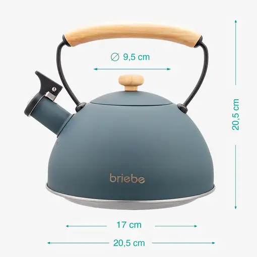 Tetera con Silbato, Hervidor de Agua 2,3L,Inducción,Acero Inox,Gris Nordic Briebe