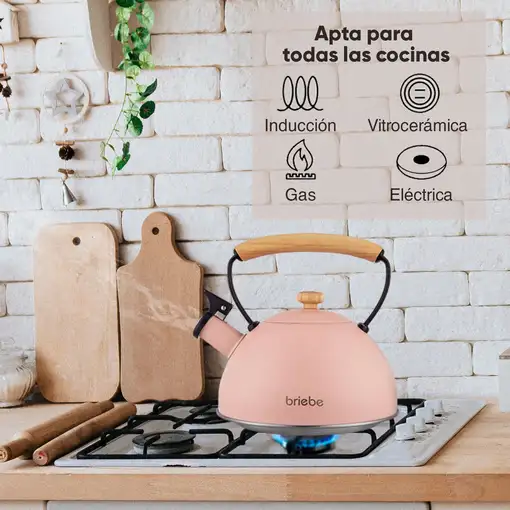 Tetera con Silbato, Hervidor de Agua 2,3L, Inducción,Acero Inox,Rosa Pastel Briebe