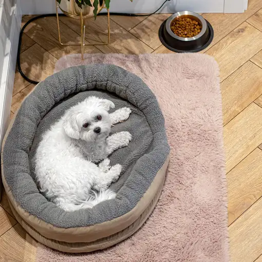 Cama Eléctrica Mascotas Perros Gatos , Calefactora Redonda 76x58cm, CR7431, Camry