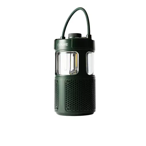 Pure 252584 altavoz portátil o de fiesta Verde 20 W