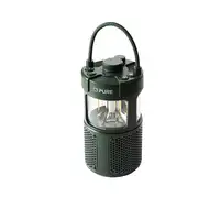 Pure 252584 altavoz portátil o de fiesta Verde 20 W
