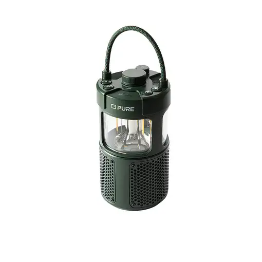 Pure 252584 altavoz portátil o de fiesta Verde 20 W