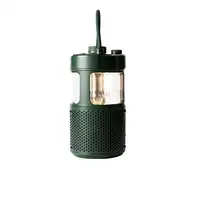 Pure 252584 altavoz portátil o de fiesta Verde 20 W