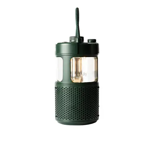 Pure 252584 altavoz portátil o de fiesta Verde 20 W