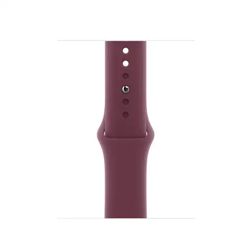 Apple MT333ZM/A Accesorios para dispositivos vestibles inteligentes Grupo de rock