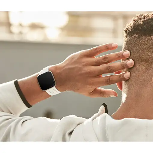 Fitbit FB171SBWTL Accesorios para dispositivos vestibles inteligentes Grupo de roc