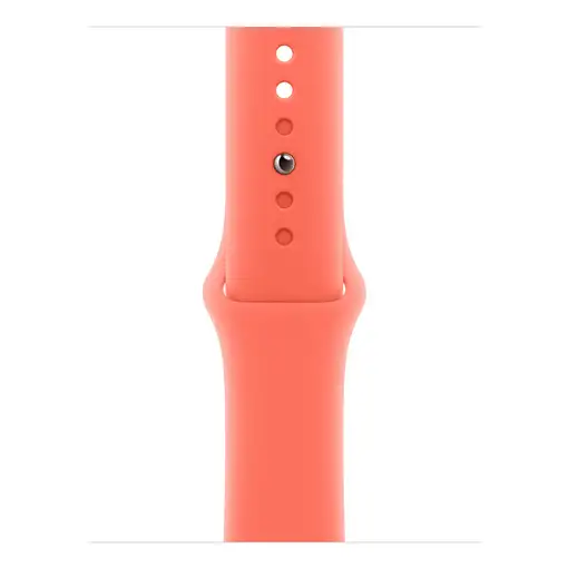 Apple MDRR4ZM/A Accesorios para dispositivos vestibles inteligentes Grupo de rock Apple MDRR4ZM/A Accesorios para dispositivos vestibles inteligentes Grupo de rock