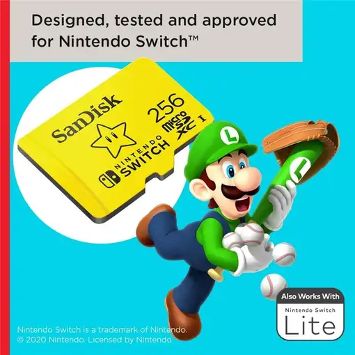 SanDisk 00183573 256 GB MicroSDXC UHS-I Clase 10