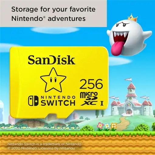 SanDisk 00183573 256 GB MicroSDXC UHS-I Clase 10