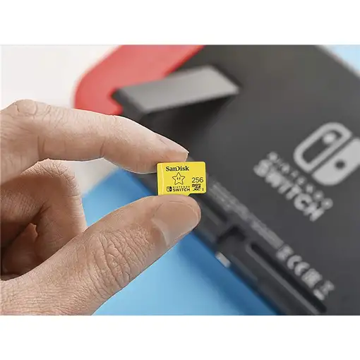 SanDisk 00183573 256 GB MicroSDXC UHS-I Clase 10