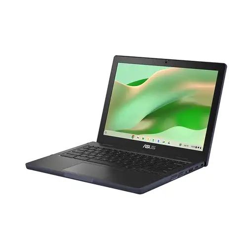 ASUS Chromebook CR12 CR1204CTA-R80041 - Ordenador Portátil 12.2" WUXGA (Intel N N1