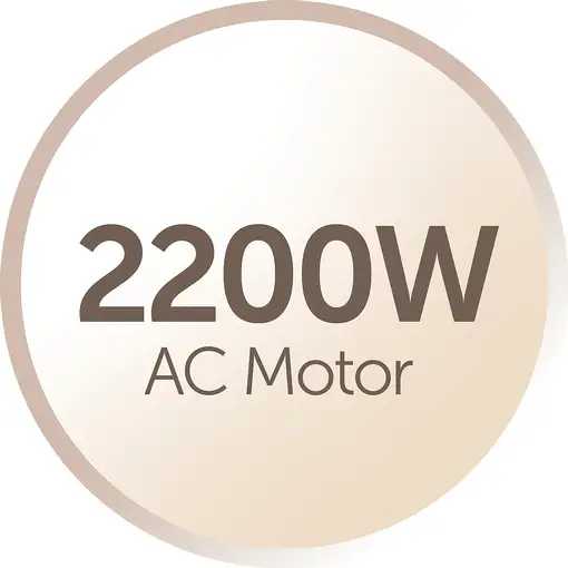 Secador de pelo  AC8002  2200 W Gris REMINGTON
