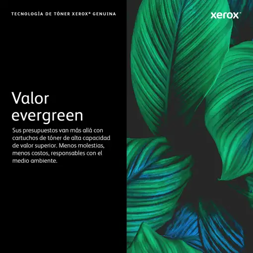 Xerox VersaLink C50X Unidad de imagen amarillo (40,000 páginas)