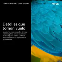 Xerox C310/C315 Cartucho de tóner magenta de capacidad estándar (2000 páginas)