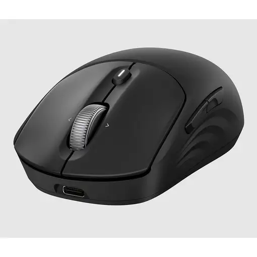 HP Ratón inalámbrico recargable 700