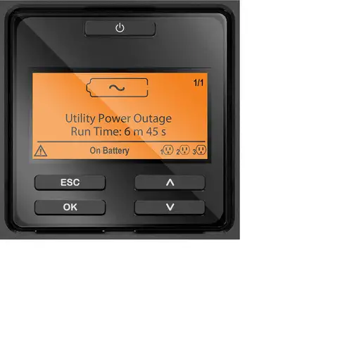 APC SRT1000XLI sistema de alimentación ininterrumpida (UPS) Doble conversión (en l