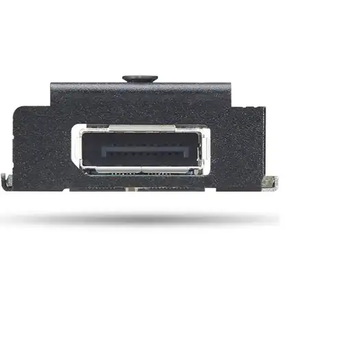 Lenovo 4XH1K25075 tarjeta y adaptador de interfaz Interno DisplayPort