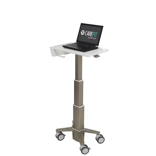 Ergotron C50-1100-0 soporte para ordenador portátil Gris 39,6 cm (15.6'')