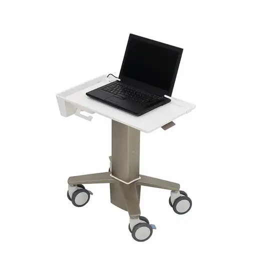 Ergotron C50-1100-0 soporte para ordenador portátil Gris 39,6 cm (15.6'')
