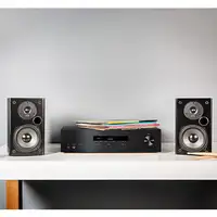 Polk Audio T15 De 2 vías Negro Alámbrico 100 W