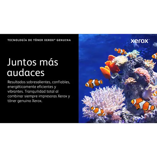 Xerox C320/C325 Cartucho de tóner amarillo de alta capacidad (5500 páginas)