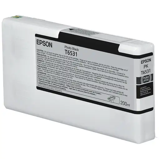 Epson Cartucho T6531 negro foto