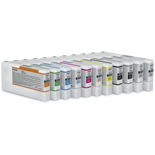 Epson Cartucho T6531 negro foto
