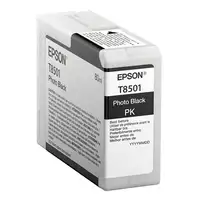 Epson Singlepack Photo Black T850100