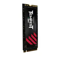 Mushkin Tempest 256 GB M.2 PCI Express 3.0 NVMe 3D NAND
