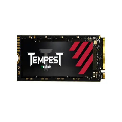 Mushkin Tempest 256 GB M.2 PCI Express 3.0 NVMe 3D NAND