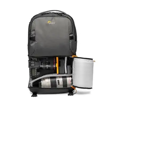 Lowepro Fastpack BP 250 AW III mochila Gris