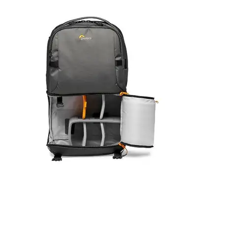Lowepro Fastpack BP 250 AW III mochila Gris