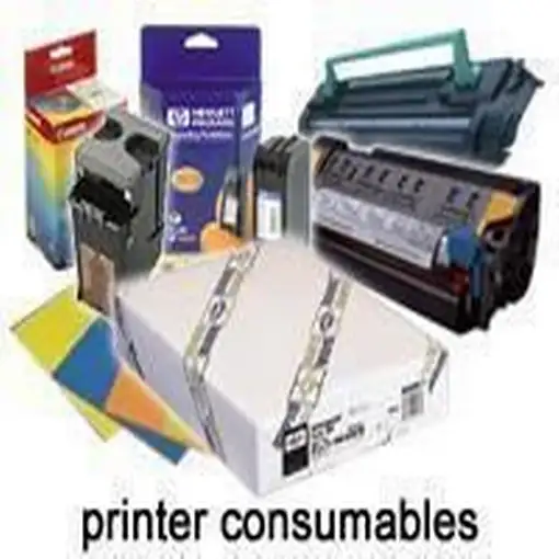 Epson Rollo de Premium Glossy Photo Paper, 44'' x 30,5 m, 260 g/m²