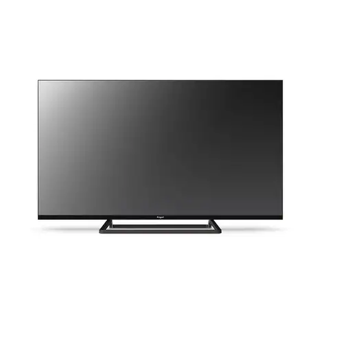 Engel LE4066T2 Televisor 101,6 cm (40'') Full HD Negro 230 cd / m²