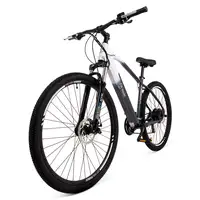 Youin You-Ride Everest Negro, Blanco Aluminio M 73,7 cm (29")