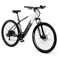 Youin You-Ride Everest Negro, Blanco Aluminio M 73,7 cm (29")