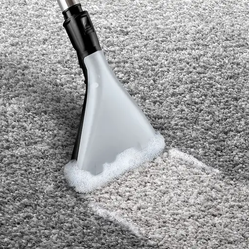 Aspiradora cilíndrica Seca y húmeda 2100 W  Serie 4 BWD421PET  BOSCH