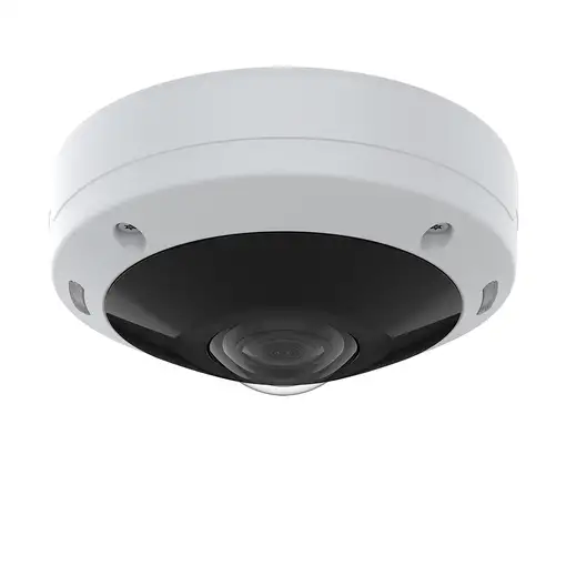 Axis 02100-001 cámara de vigilancia Almohadilla Cámara de seguridad IP Interior y