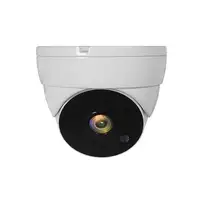 LevelOne ACS-5302 cámara de vigilancia Almohadilla Cámara de seguridad CCTV Interi