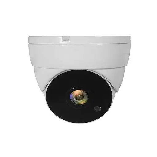 LevelOne ACS-5302 cámara de vigilancia Almohadilla Cámara de seguridad CCTV Interi