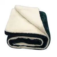 Manta eléctrica color verde y beige 130 x 180 cm