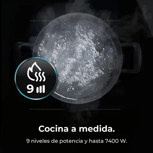 Placa de inducción 03280 CECOTEC