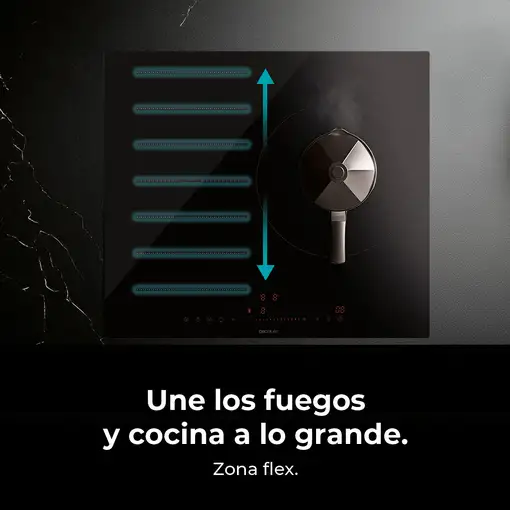 Placa de inducción 03280 CECOTEC