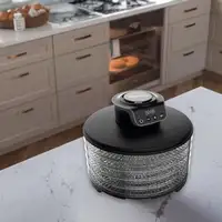 Deshidratador de Alimentos 250W 5 Bandejas Negro TOWER MELCHIONI FAMILY