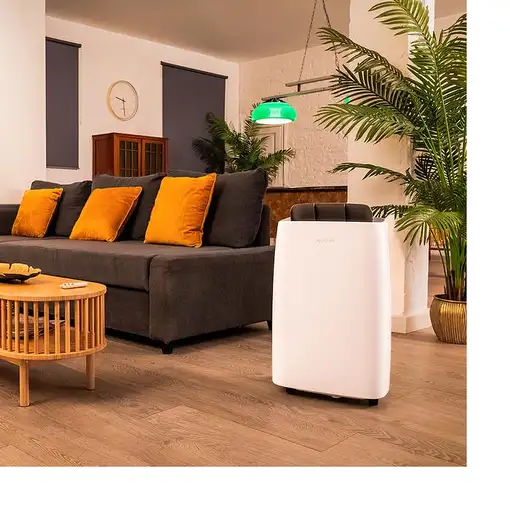 Cecotec BigDry 10000 Expert Connected 6 L 20 dB 580 W Blanco