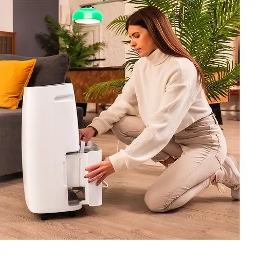 Cecotec BigDry 10000 Expert Connected 6 L 20 dB 580 W Blanco