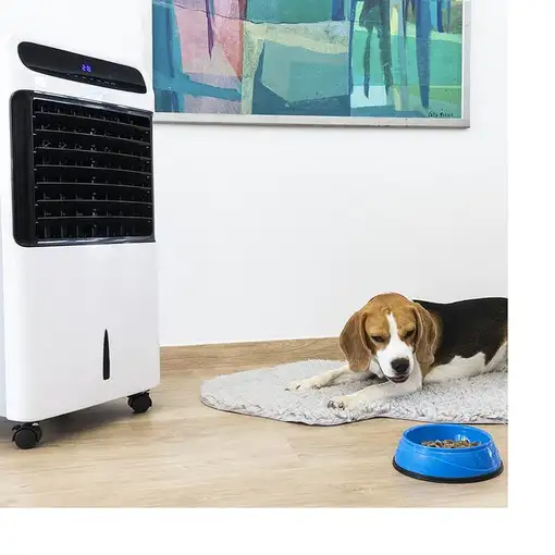 Cecotec 05955 aire acondicionado portátil 12 L 65 dB Blanco