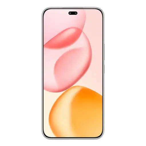 Honor 400 Pro 17 cm (6.7") MagicOS 9.0 5G 12 GB 512 GB 5300 mAh Gris