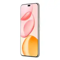 Honor 400 Pro 17 cm (6.7") MagicOS 9.0 5G 12 GB 512 GB 5300 mAh Gris